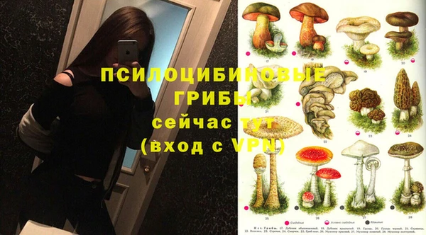 прущая мука Аркадак