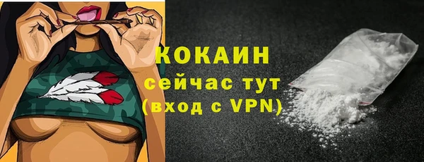 прущие грибы Армянск