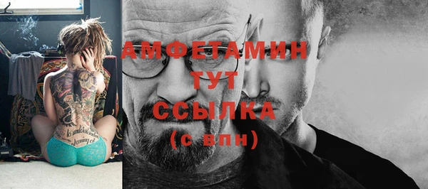 прущие грибы Армянск