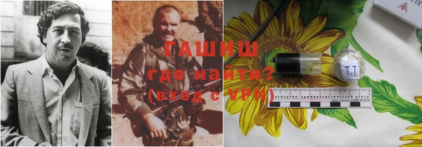 прущие грибы Армянск